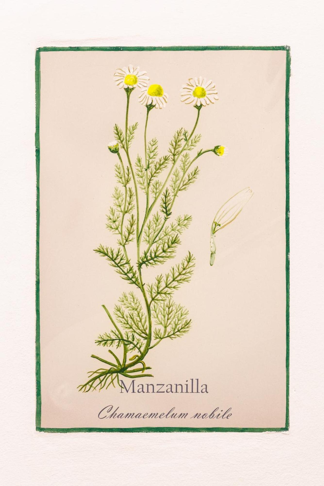 Arte De Cozina Hotel Antequera Eksteriør billede